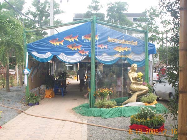 DCP_6634