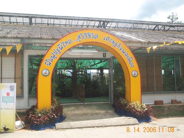 DCP_6670