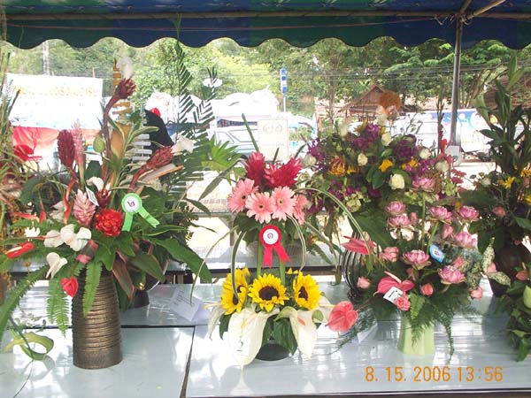 DCP_6696