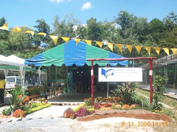 DCP_6503