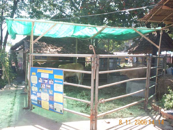 DCP_6505
