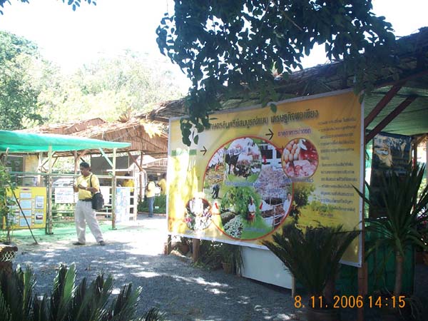 DCP_6506