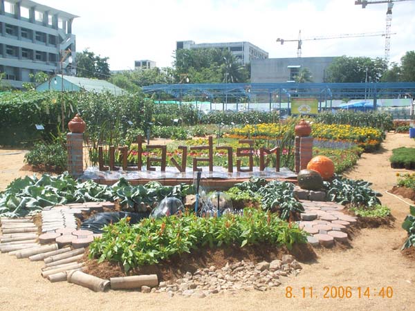 DCP_6513