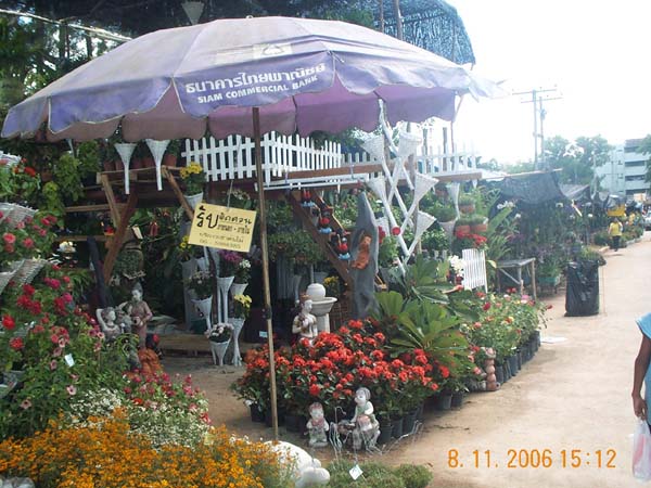 DCP_6529