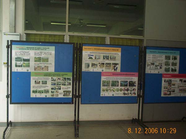 DCP_6545