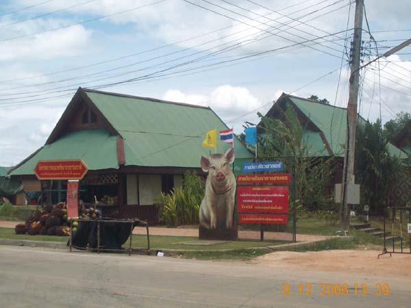 DCP_6596