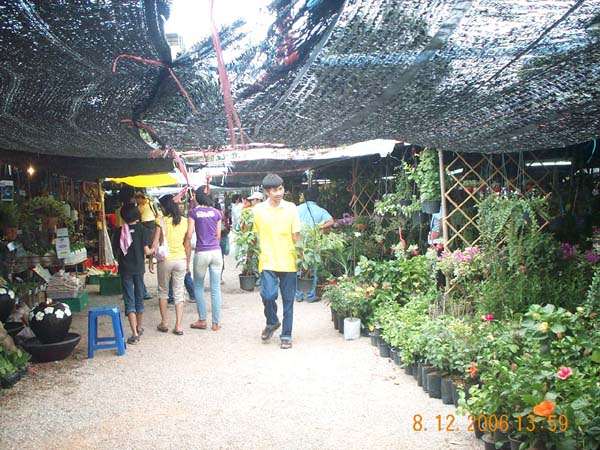 DCP_6608
