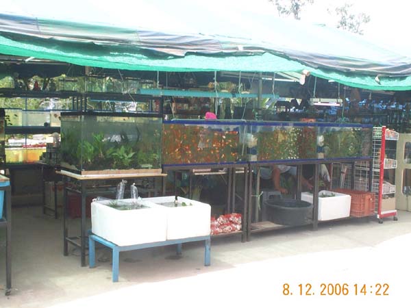DCP_6618