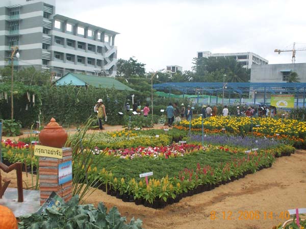 DCP_6622