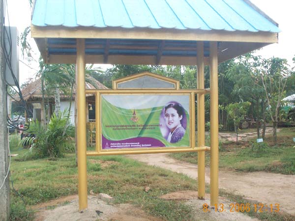 DCP_6632
