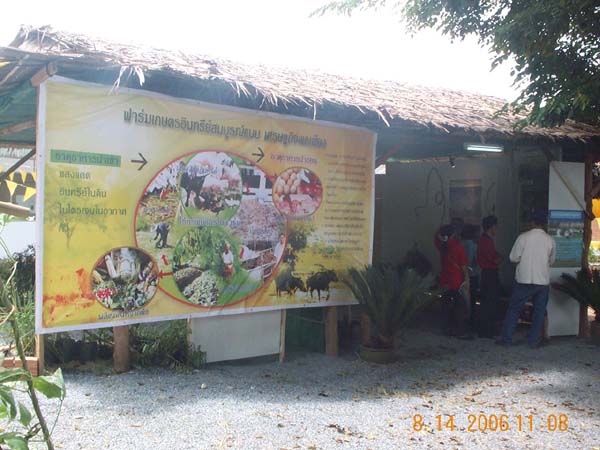 DCP_6669