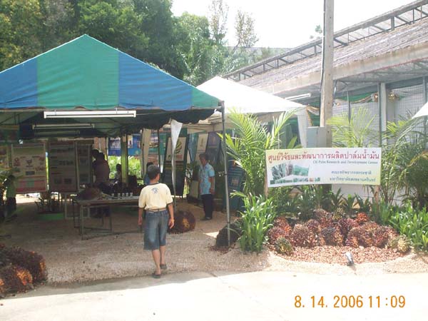 DCP_6673