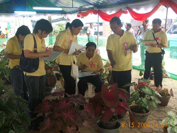 DCP_6725